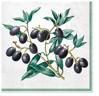 En Servietten Oliven mit Rahmen