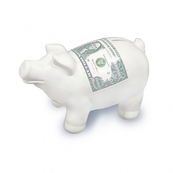 Pl Piggy Banknote