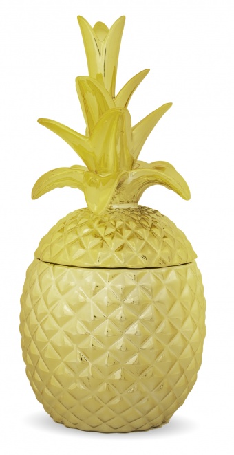 Ananasbehälter