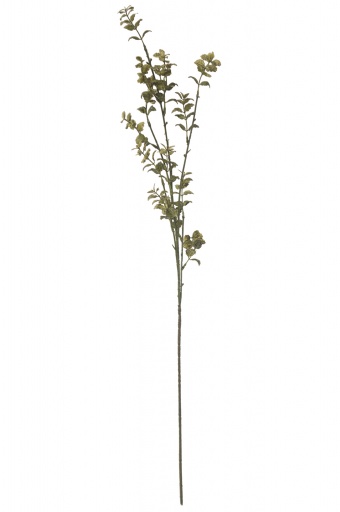 Pl künstliche Blume 63 cm Fittonia Spray x 4